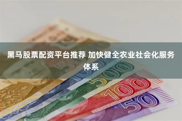 黑马股票配资平台推荐 加快健全农业社会化服务体系