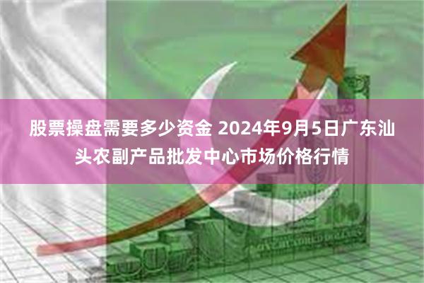 股票操盘需要多少资金 2024年9月5日广东汕头农副产品批发中心市场价格行情