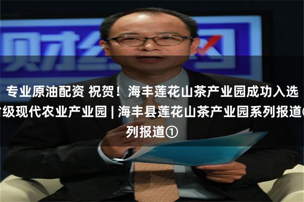 专业原油配资 祝贺！海丰莲花山茶产业园成功入选省级现代农业产业园 | 海丰县莲花山茶产业园系列报道①