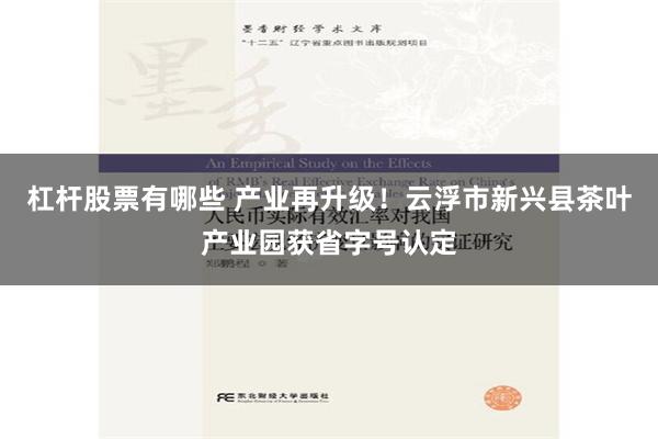 杠杆股票有哪些 产业再升级！云浮市新兴县茶叶产业园获省字号认定