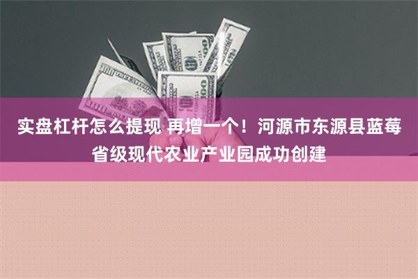 实盘杠杆怎么提现 再增一个！河源市东源县蓝莓省级现代农业产业园成功创建