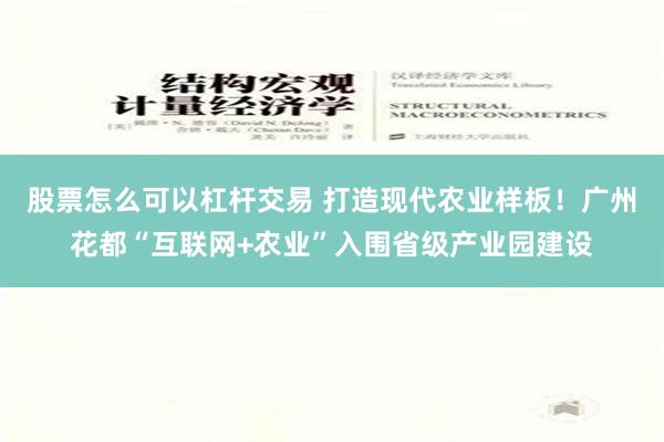 股票怎么可以杠杆交易 打造现代农业样板！广州花都“互联网+农业”入围省级产业园建设