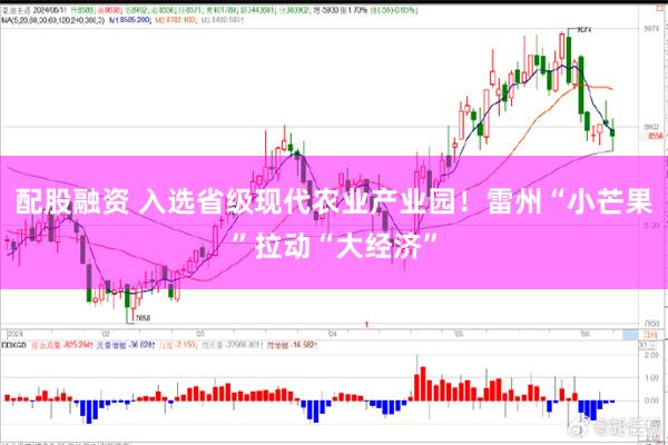 配股融资 入选省级现代农业产业园！雷州“小芒果”拉动“大经济”