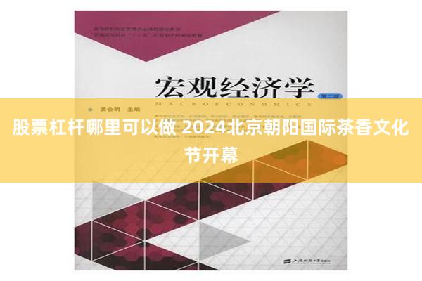 股票杠杆哪里可以做 2024北京朝阳国际茶香文化节开幕