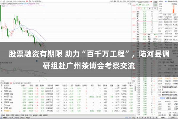 股票融资有期限 助力“百千万工程”，陆河县调研组赴广州茶博会考察交流