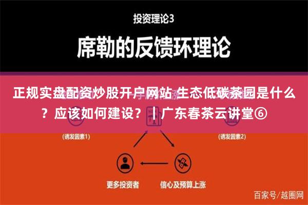 正规实盘配资炒股开户网站 生态低碳茶园是什么？应该如何建设？｜广东春茶云讲堂⑥