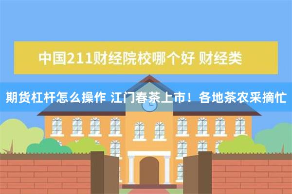 期货杠杆怎么操作 江门春茶上市！各地茶农采摘忙