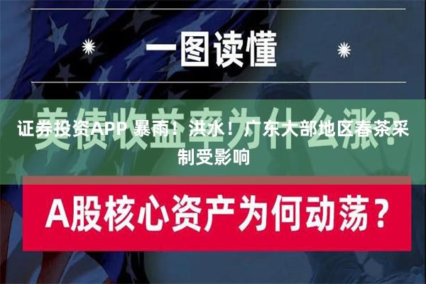 证券投资APP 暴雨！洪水！广东大部地区春茶采制受影响