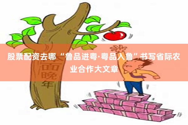 股票配资去哪 “鲁品进粤·粤品入鲁”书写省际农业合作大文章