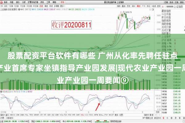 股票配资平台软件有哪些 广州从化率先聘任驻点专家、产业首席专家坐镇指导产业园发展|现代农业产业园一周要闻⑨