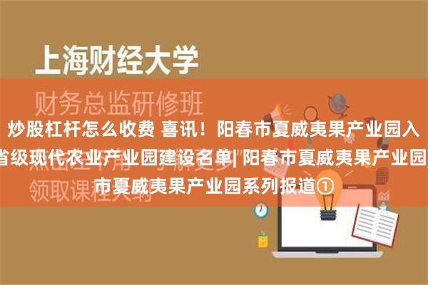 炒股杠杆怎么收费 喜讯！阳春市夏威夷果产业园入选2021年省级现代农业产业园建设名单| 阳春市夏威夷果产业园系列报道①