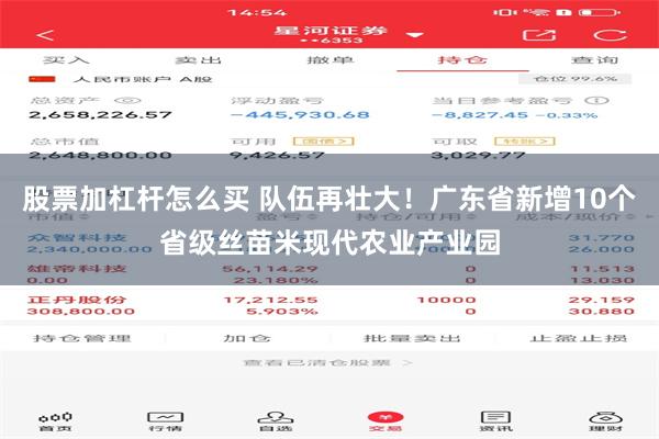 股票加杠杆怎么买 队伍再壮大！广东省新增10个省级丝苗米现代农业产业园
