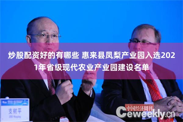 炒股配资好的有哪些 惠来县凤梨产业园入选2021年省级现代农业产业园建设名单