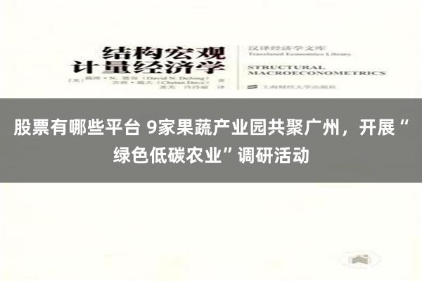 股票有哪些平台 9家果蔬产业园共聚广州，开展“绿色低碳农业”调研活动