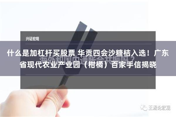 什么是加杠杆买股票 华贡四会沙糖桔入选！广东省现代农业产业园（柑橘）百家手信揭晓