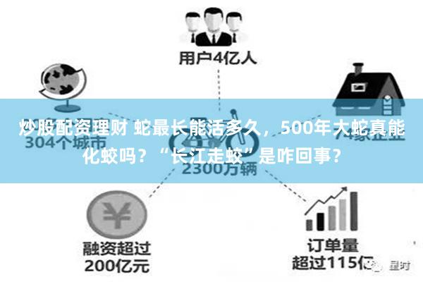 炒股配资理财 蛇最长能活多久，500年大蛇真能化蛟吗？“长江走蛟”是咋回事？