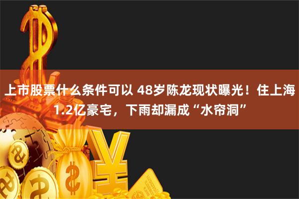 上市股票什么条件可以 48岁陈龙现状曝光！住上海1.2亿豪宅，下雨却漏成“水帘洞”