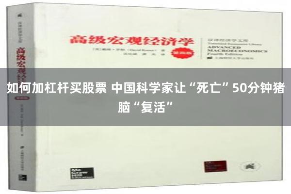 如何加杠杆买股票 中国科学家让“死亡”50分钟猪脑“复活”