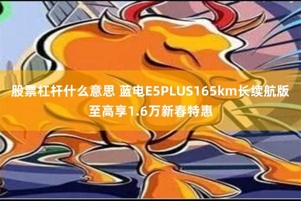 股票杠杆什么意思 蓝电E5PLUS165km长续航版至高享1.6万新春特惠